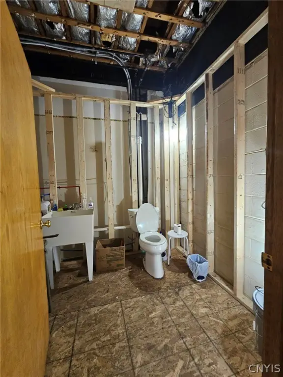Picture 6