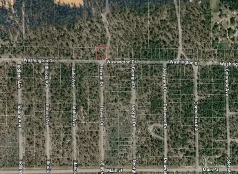 Vacant Land in Hawthorne, Florida