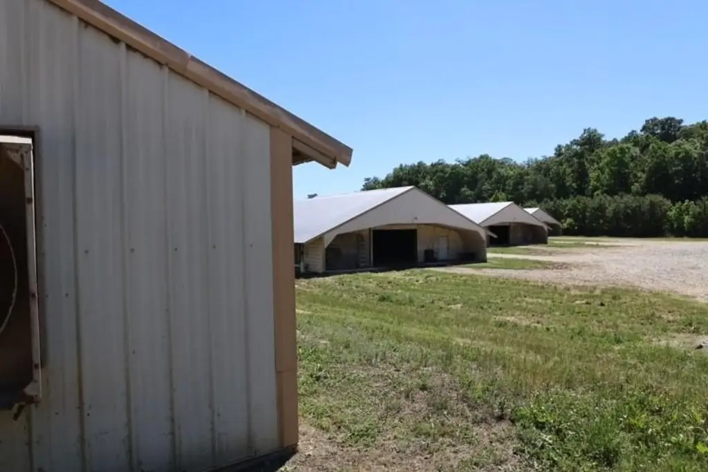 Picture 10