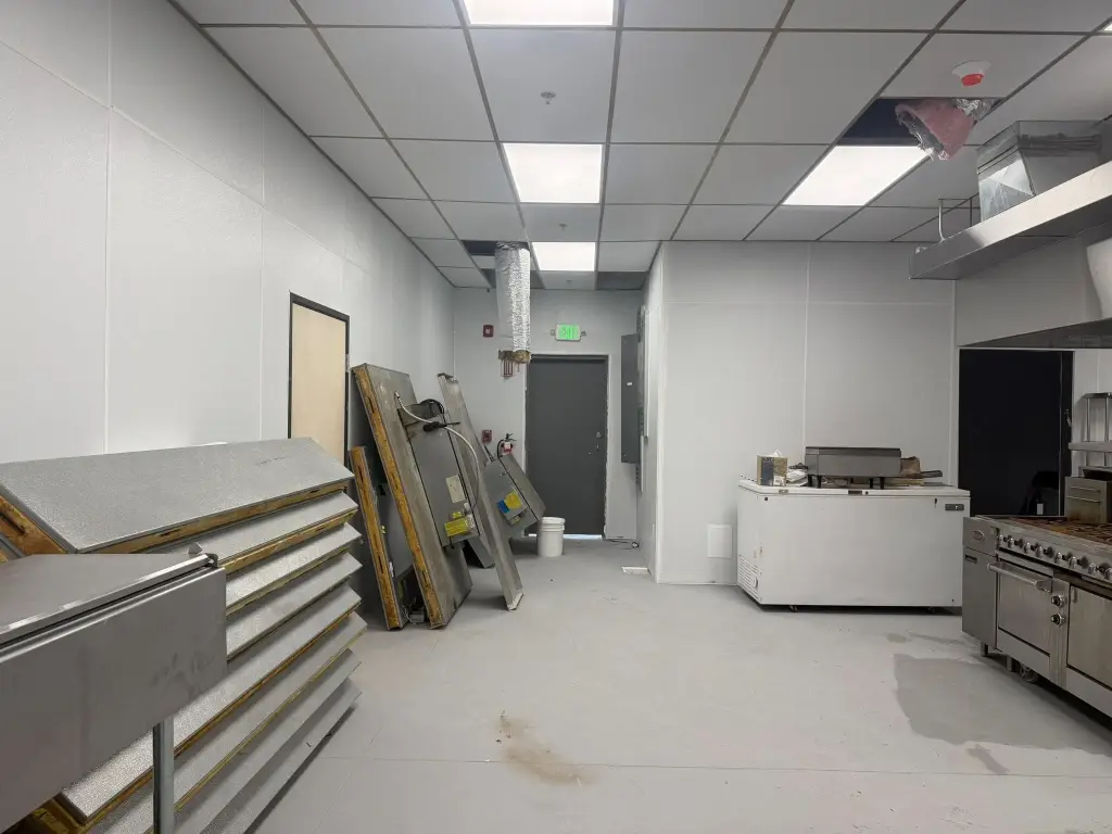 Picture 5