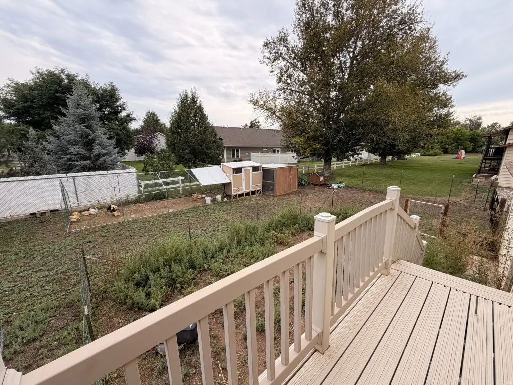 Picture 5