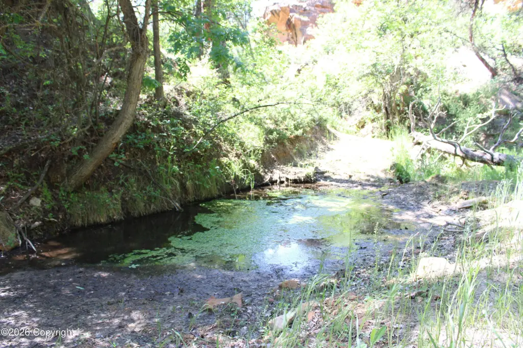 Picture 14