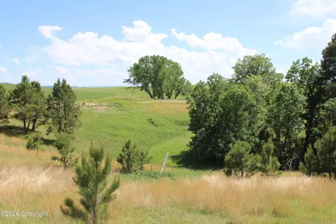 Hunting Land with Natural Spring