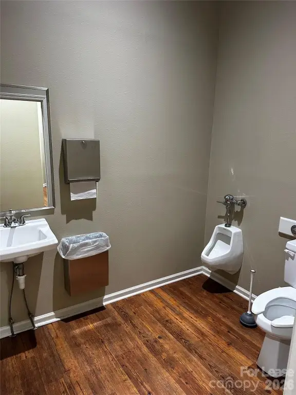 Picture 3