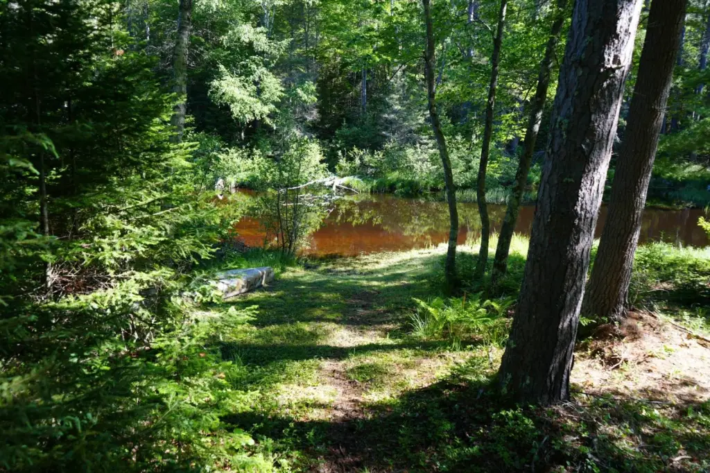 Picture 19