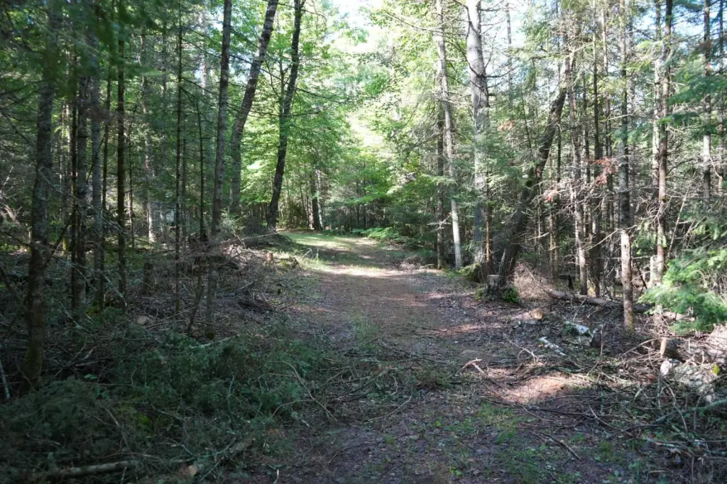 Picture 20