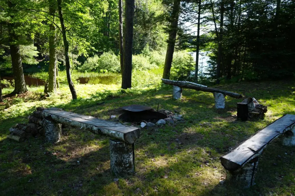 Picture 16