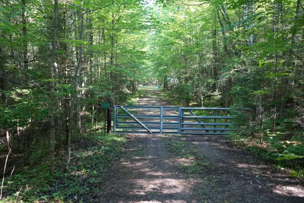 Picture 30