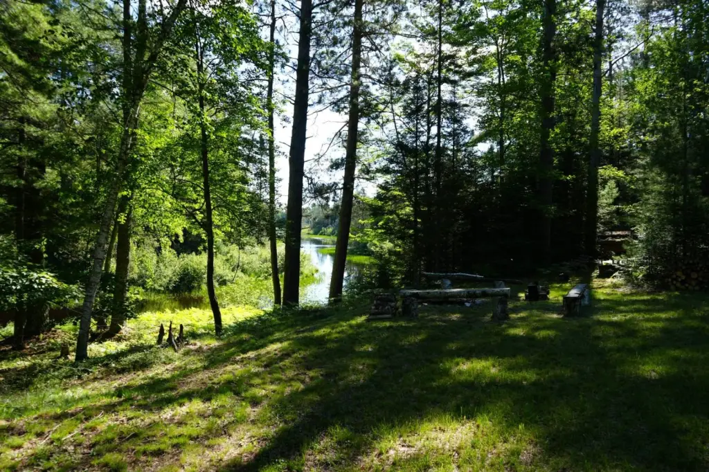 Picture 31