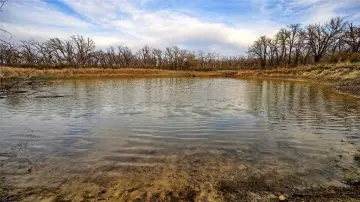 Nocona Land Near Lake