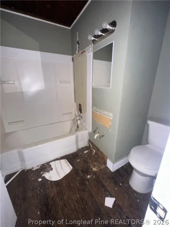 Picture 12