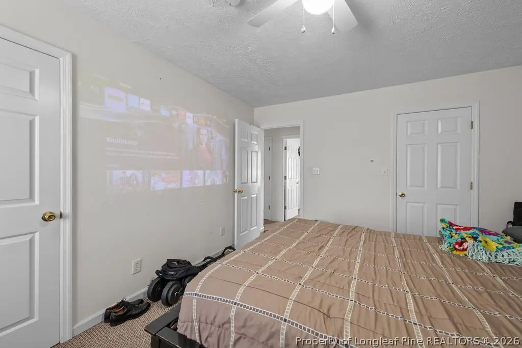 Picture 12