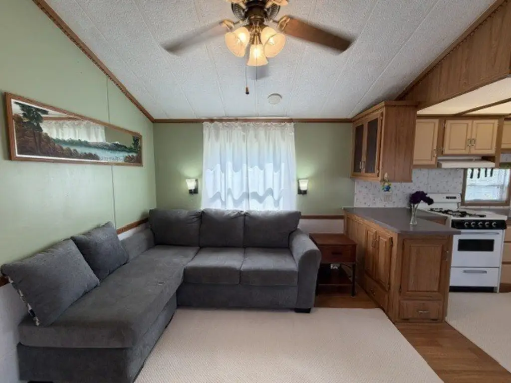 Picture 8