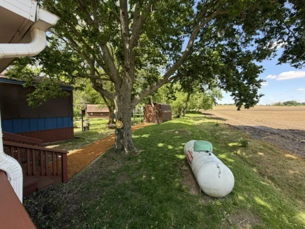 Picture 26