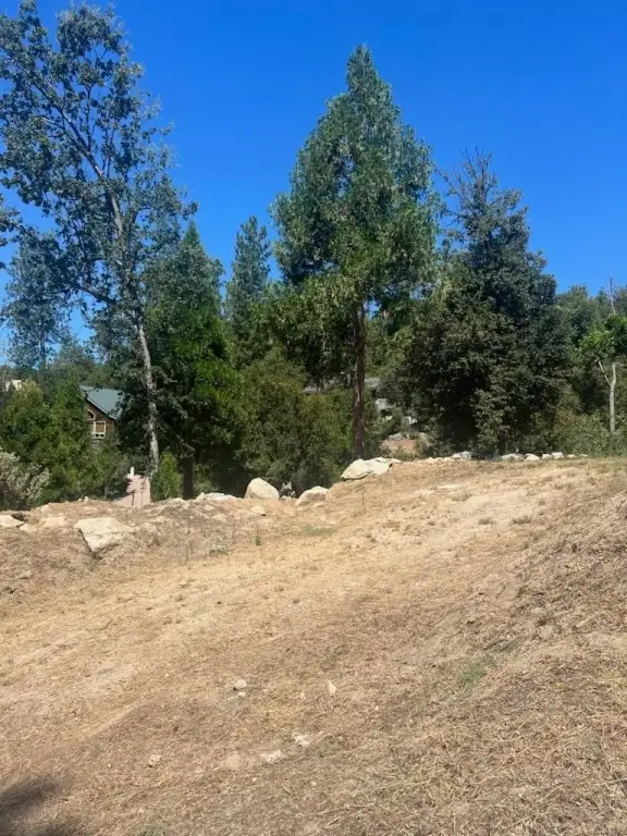 Picture 4