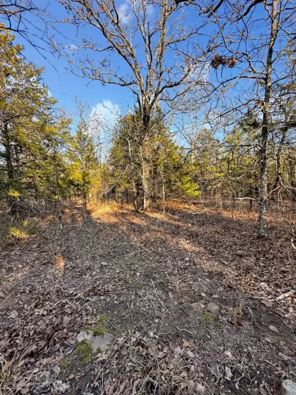 Picture 6