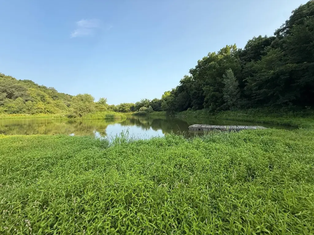 Picture 65