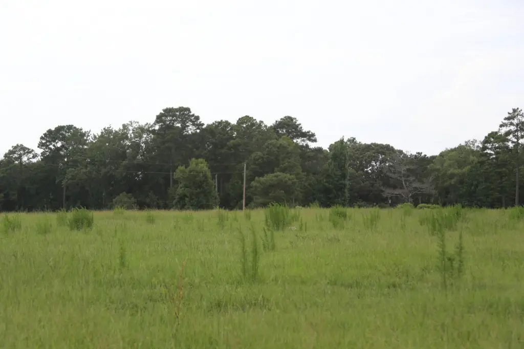 Picture 27