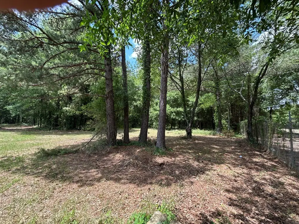 Picture 19