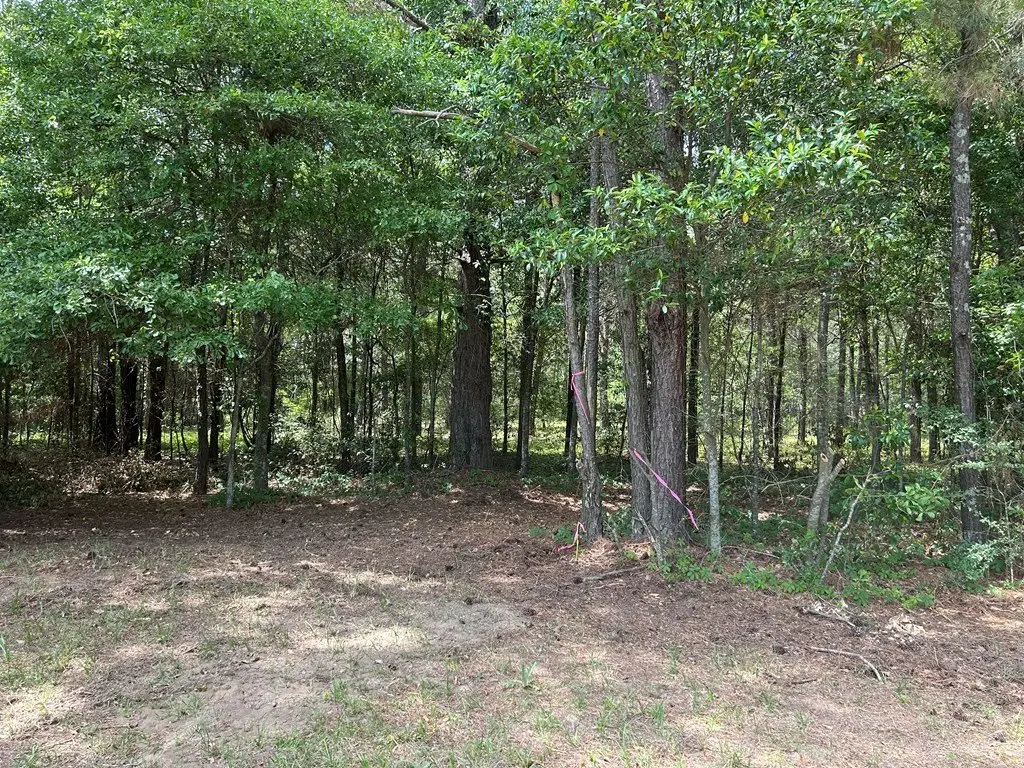 Picture 15