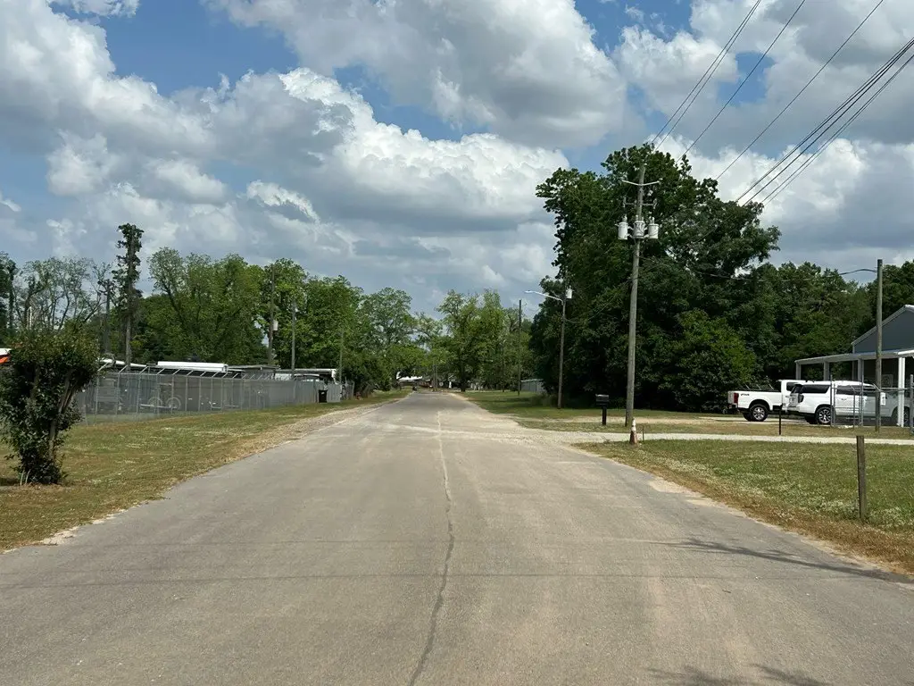 Picture 8