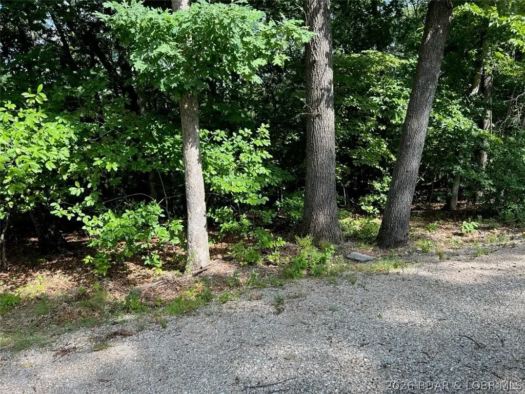 Picture 3