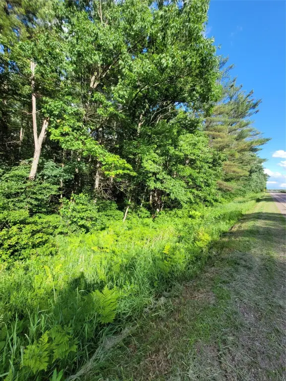 Picture 8