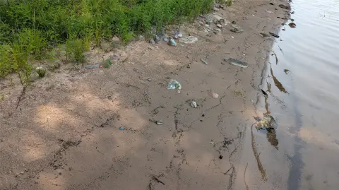 Wooded Lakefront Land