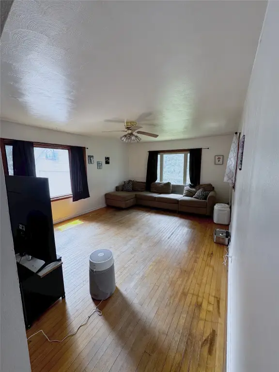 Picture 15