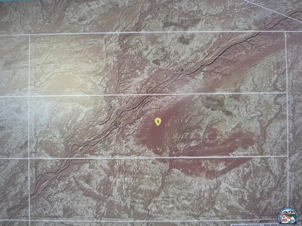 Picture 7