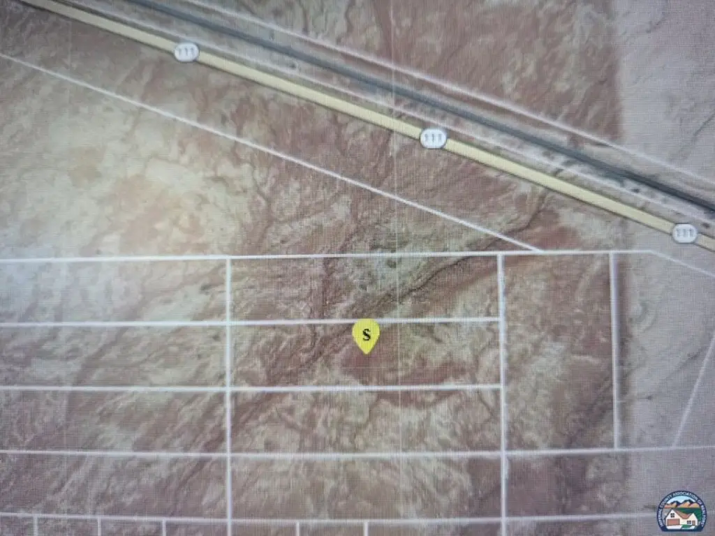 Picture 6