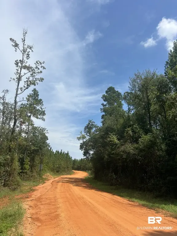 Picture 17