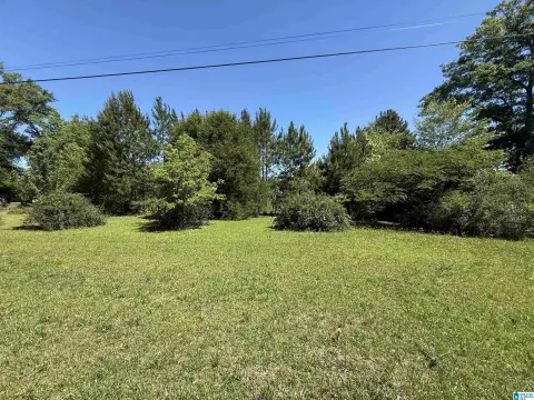 Unrestricted Acreage in Kellyton, AL