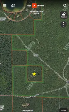 Free Soil Wooded Hunting Land