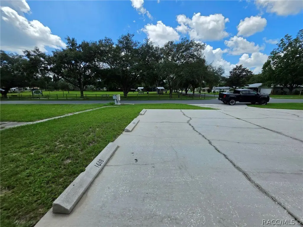 Picture 13