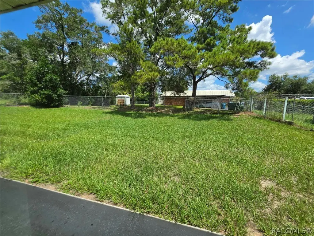 Picture 11
