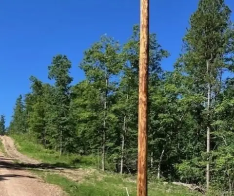 Wooded Acreage Near National Forest