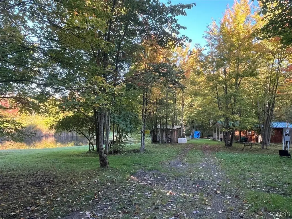 Picture 23