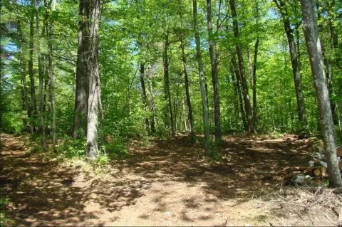 Phillips, WI Vacant Land