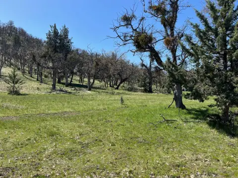 Montague Vacant Land with Views
