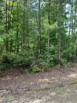 One Acre Vacant Land