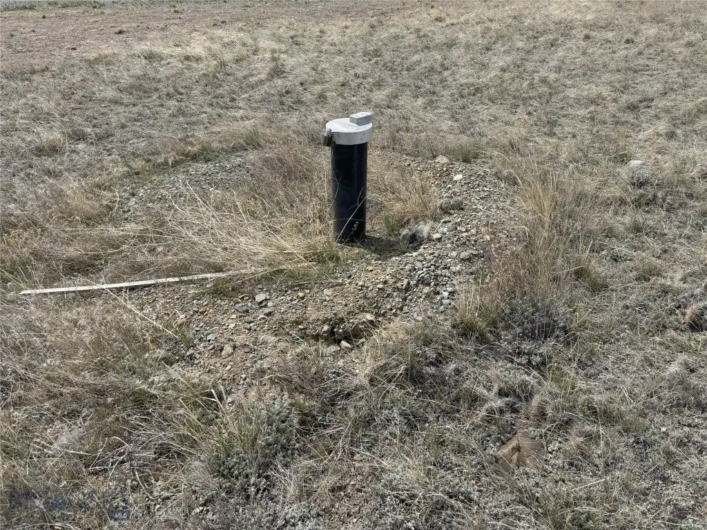 Picture 9