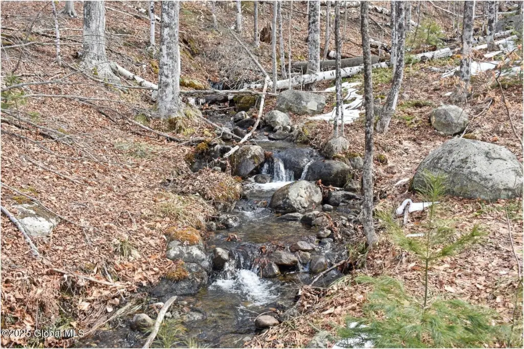 Picture 27