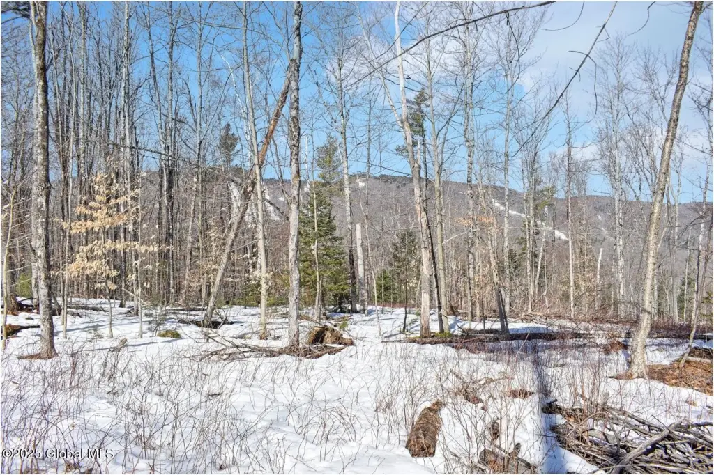 Picture 52