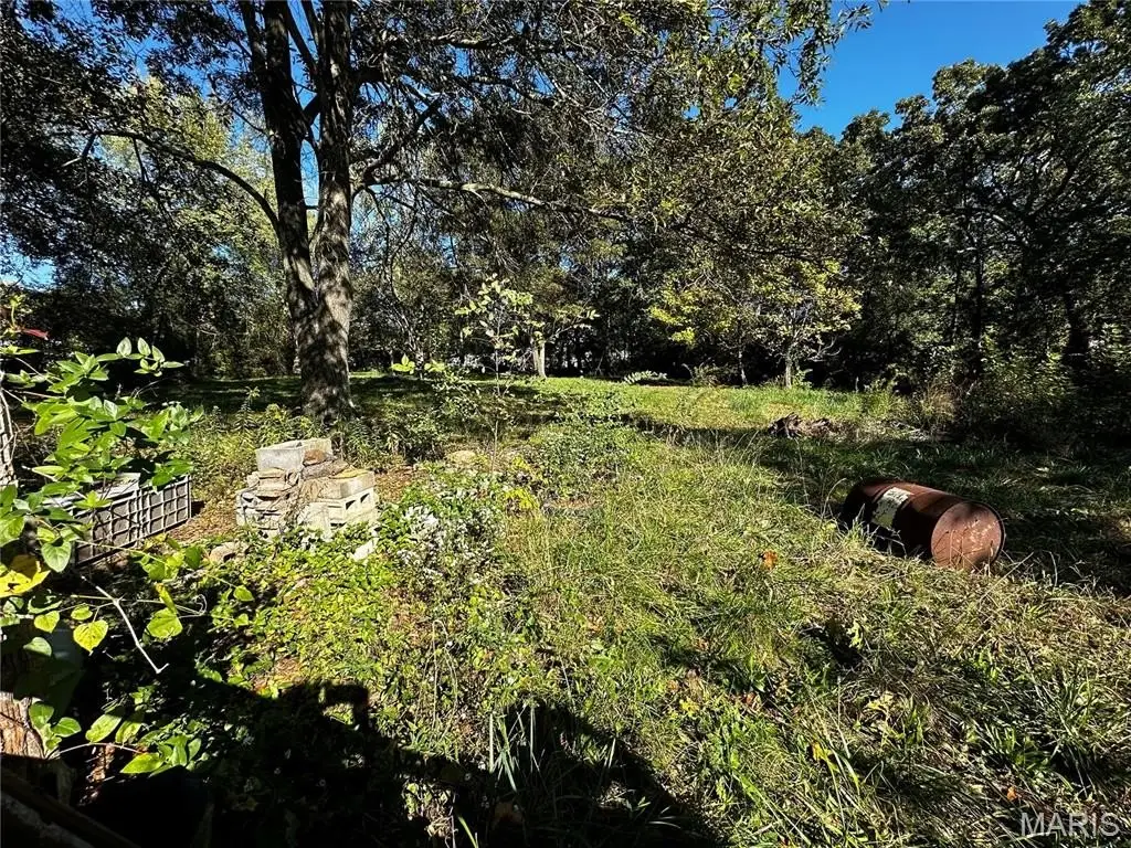 Picture 6