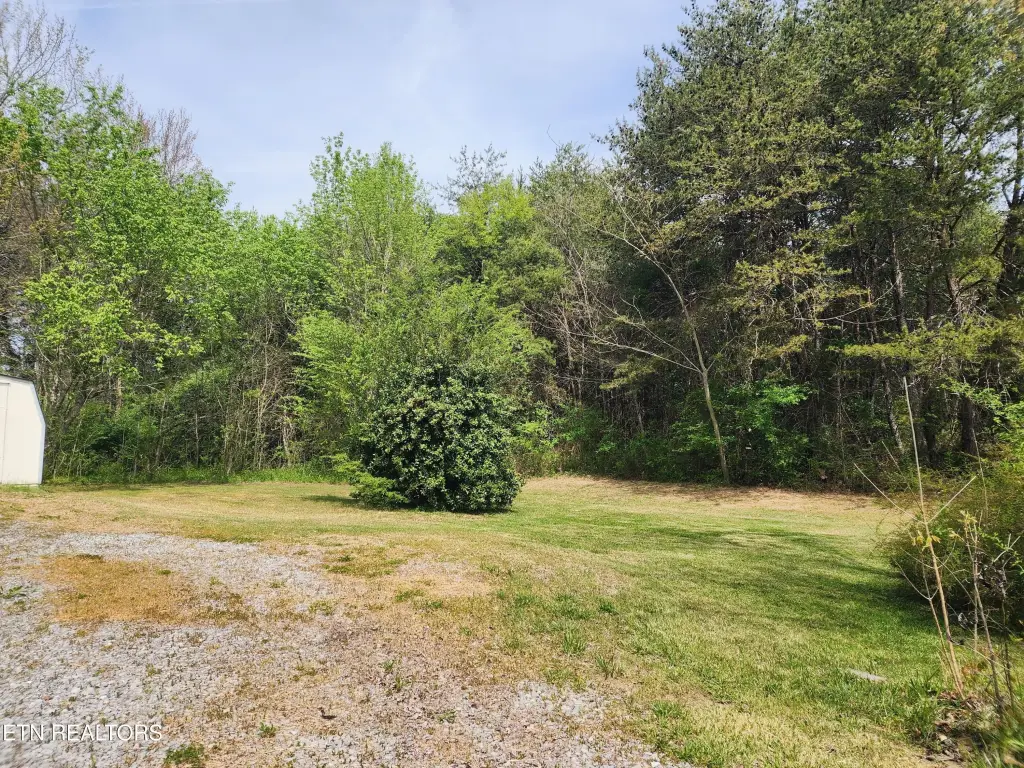 Picture 28