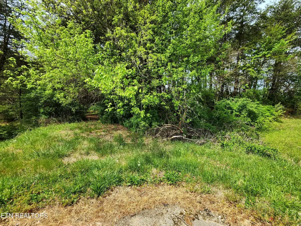 Picture 24