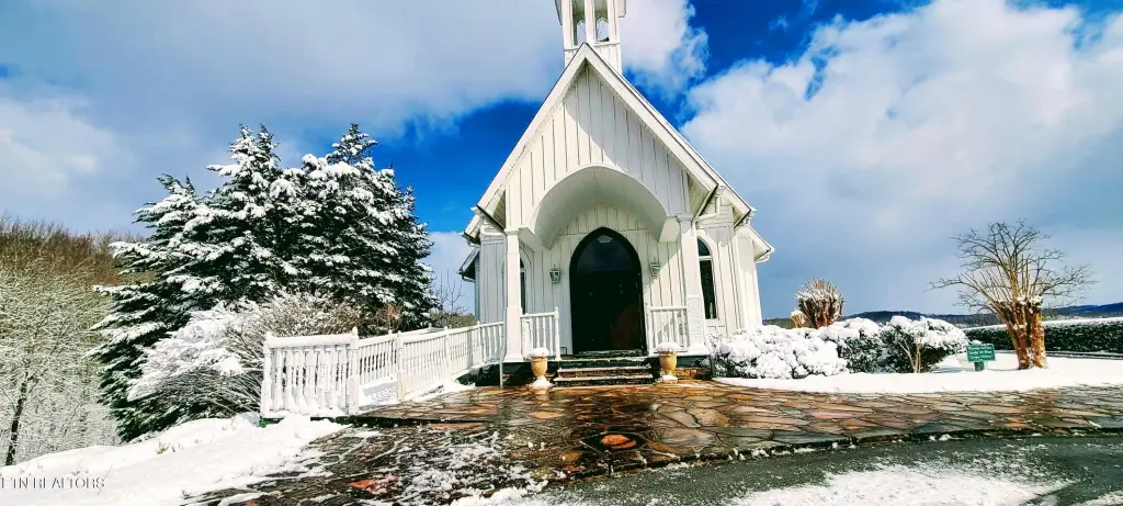 Picture 30