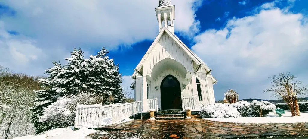 Picture 27