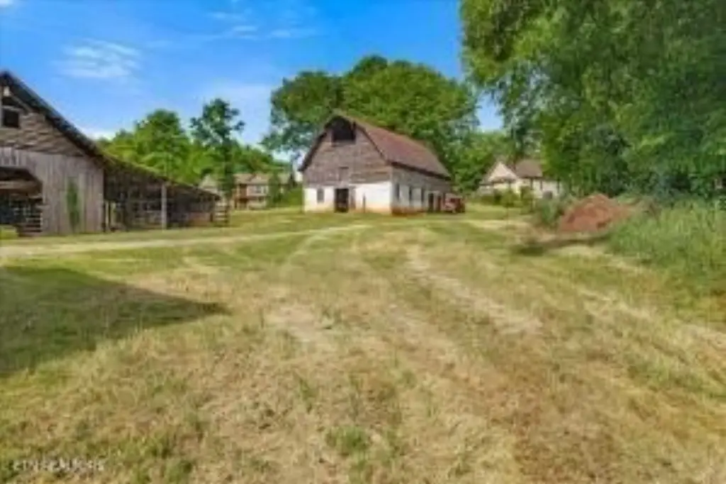 Picture 14